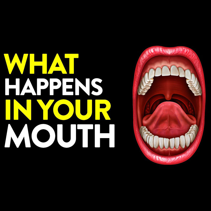 what-happens-in-your-mouth-when-you-sleep-uncutxtra-magazine