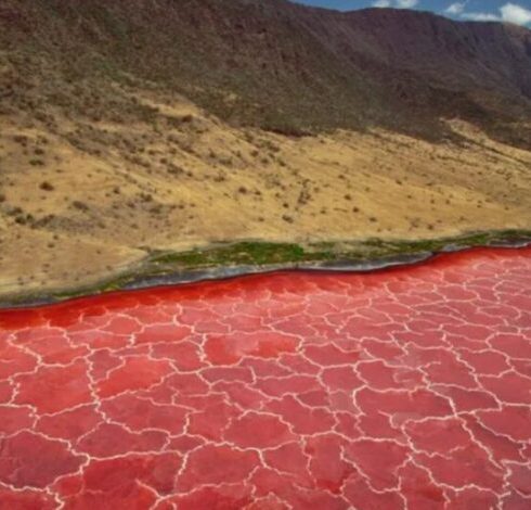 Lake Natron