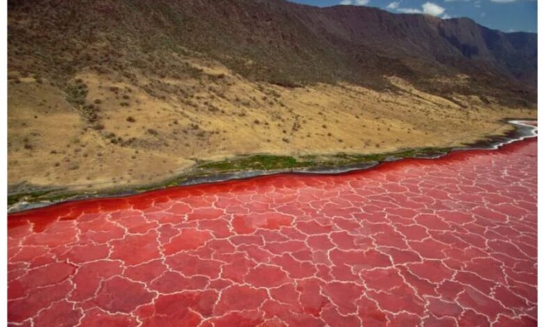 Lake Natron