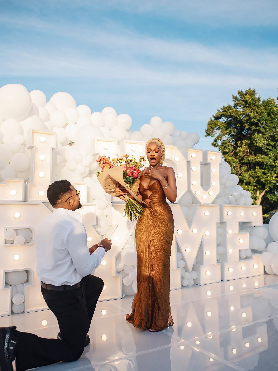 Diana Eneje and Pascal Godwin's Engagement